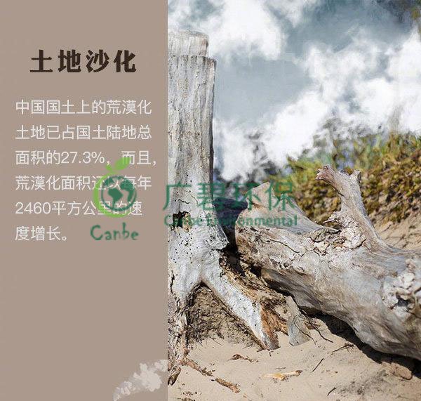 世界地球日 我們能為地球做些什么？(圖4)