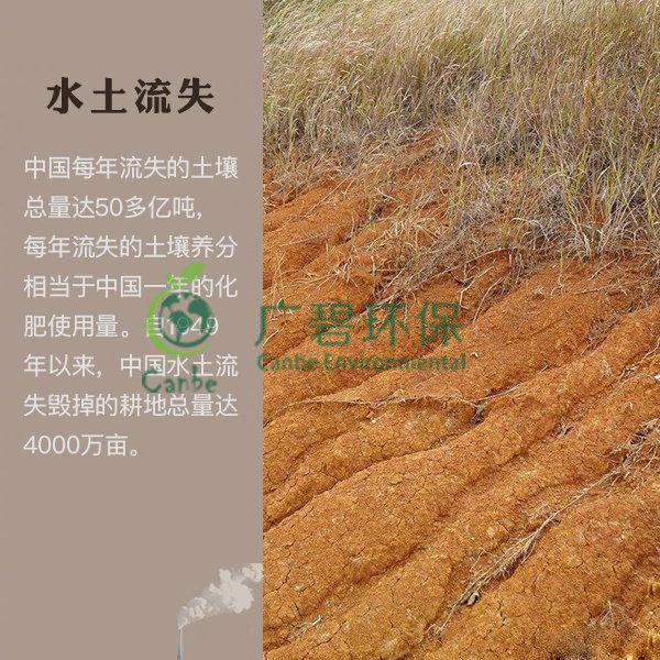 世界地球日 我們能為地球做些什么？(圖7)