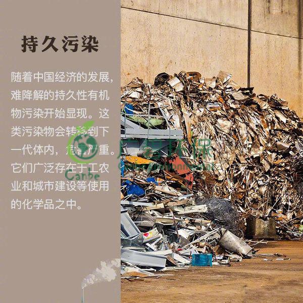 世界地球日 我們能為地球做些什么？(圖8)