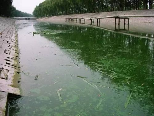 城市黑臭河道如何治理？河道黑臭水體治理思路(圖1)