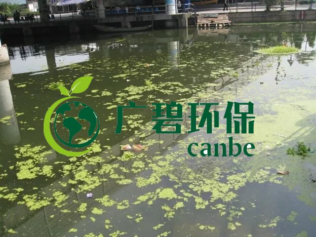 城市黑臭河道如何治理？河道黑臭水體治理思路(圖3)