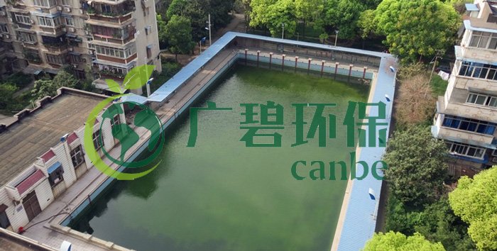 游泳池水變綠是什么原因？游泳池水處理方法(圖1)