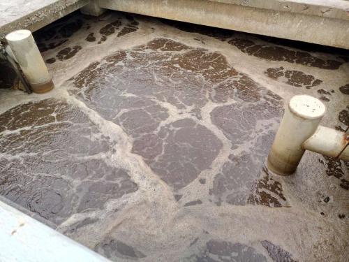 什么是制革廢水？制革廢水特點與處理工藝