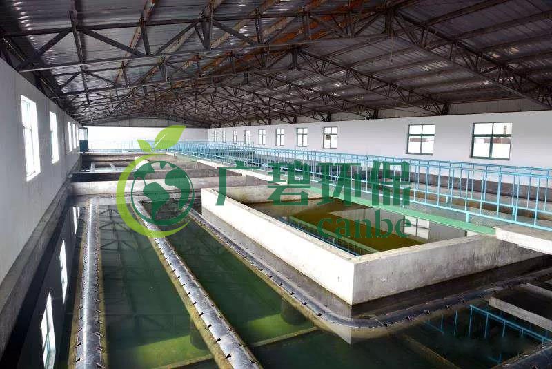 什么是制糖廢水？制糖廢水處理技術(shù)(圖1)