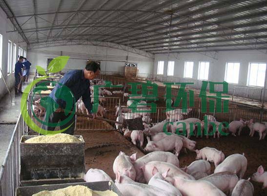 什么是養(yǎng)殖廢水？養(yǎng)殖廢水處理工藝(圖1)