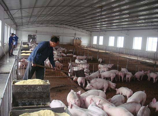 什么是養(yǎng)殖廢水？養(yǎng)殖廢水處理工藝