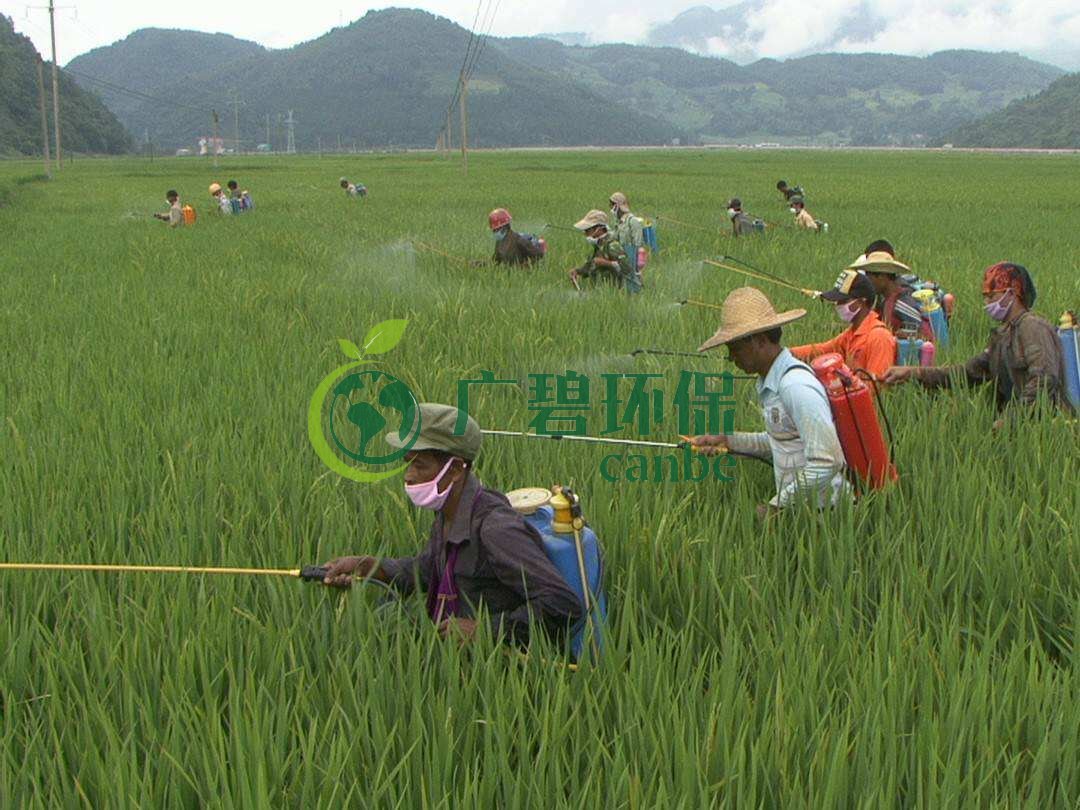 農(nóng)藥廢水是什么？農(nóng)藥廢水特點(diǎn)與處理工藝(圖1)