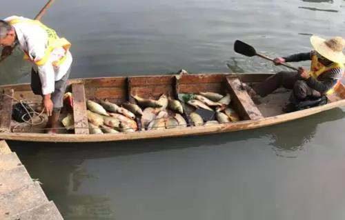 廣州旺旺食品廢水直排，永和河大量魚類死亡