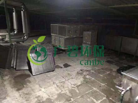 廣州旺旺食品廢水直排，永和河大量魚類死亡(圖3)