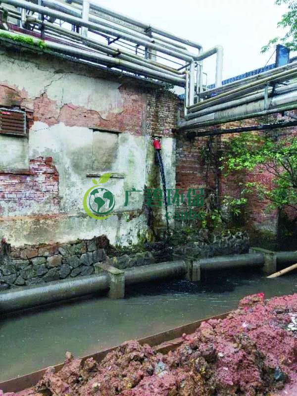 廣州海珠有污水直排河涌，3名涉案人員被行政拘留(圖1)