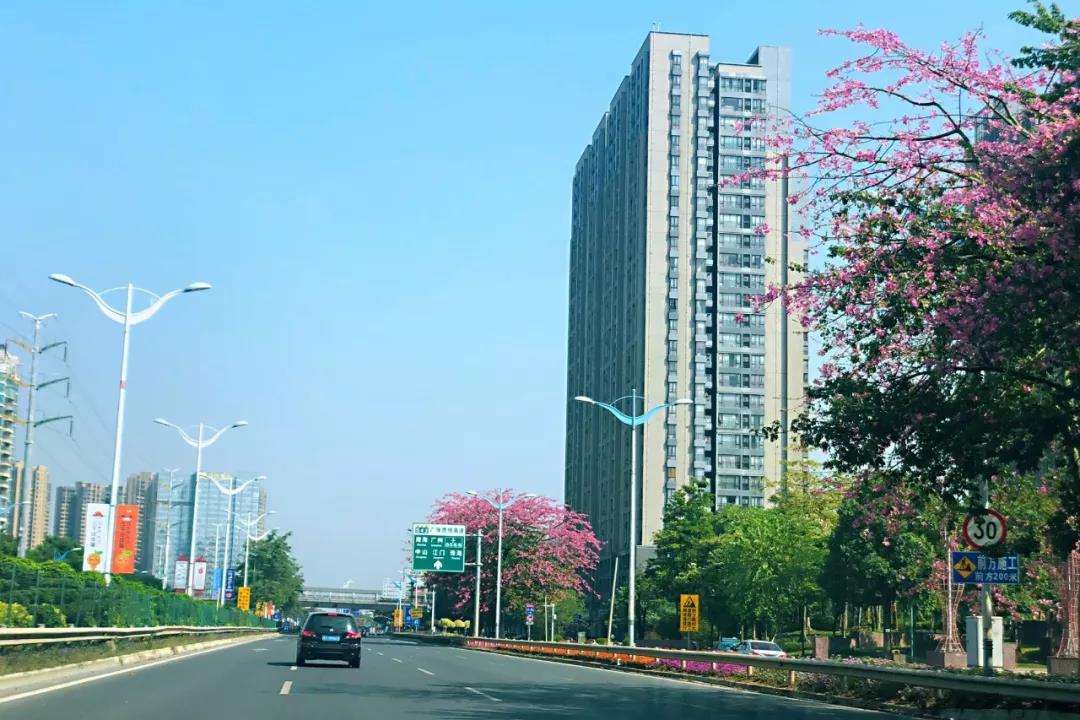 環(huán)境部印發(fā)《規(guī)劃環(huán)評技術導則 總綱》，項目環(huán)評部分章節(jié)可簡化