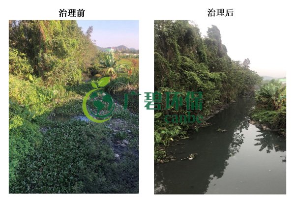 廣碧環(huán)保金陡涌河涌黑臭水體 治理服務項目順利通過驗收(圖7)
