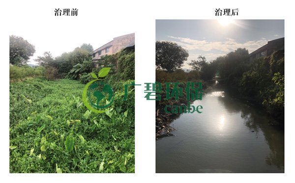 廣碧環(huán)保金陡涌河涌黑臭水體 治理服務項目順利通過驗收(圖8)