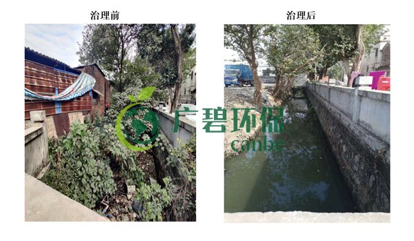 廣碧環(huán)保金陡涌河涌黑臭水體 治理服務項目順利通過驗收(圖1)
