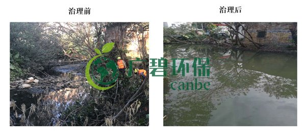 廣碧環(huán)保金陡涌河涌黑臭水體 治理服務項目順利通過驗收(圖3)