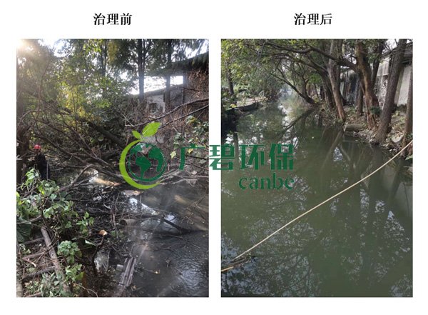 廣碧環(huán)保金陡涌河涌黑臭水體 治理服務項目順利通過驗收(圖4)