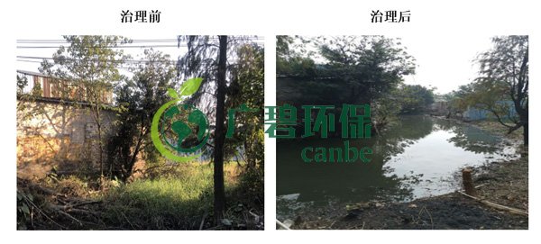 廣碧環(huán)保金陡涌河涌黑臭水體 治理服務項目順利通過驗收(圖5)