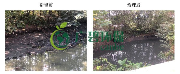 廣碧環(huán)保金陡涌河涌黑臭水體 治理服務項目順利通過驗收(圖6)