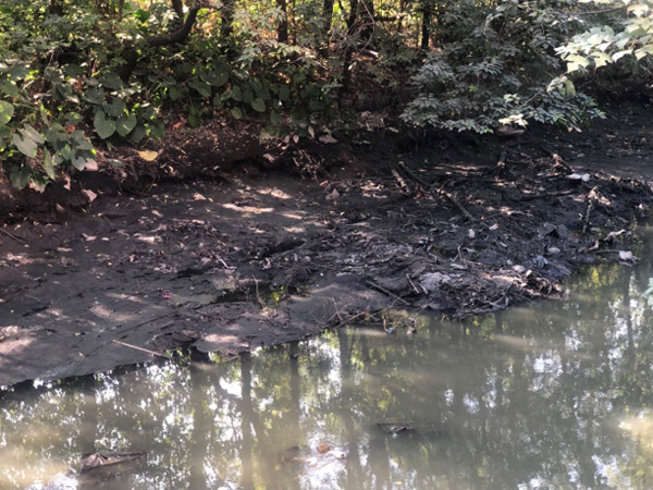 總結河道治理誤區(qū)，道明今后治理方向