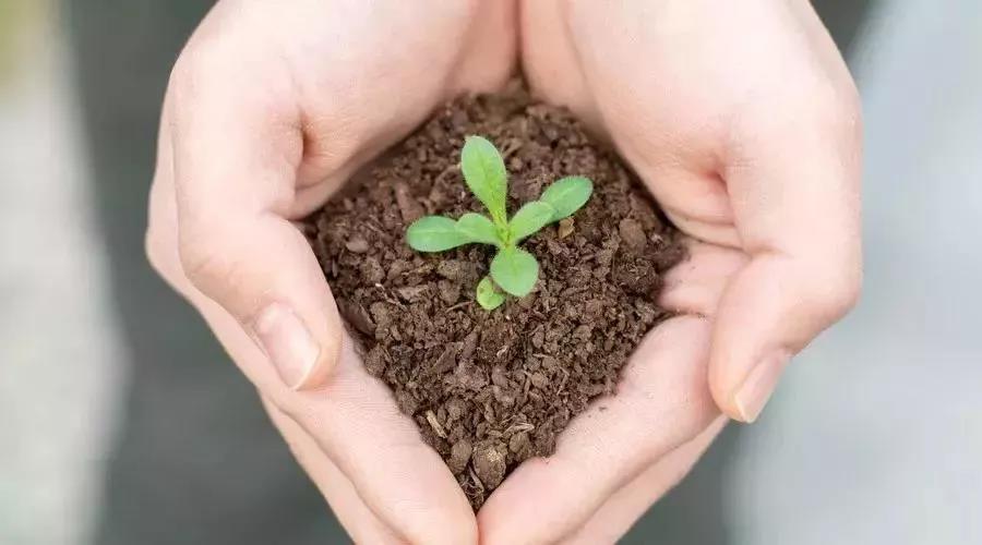 關(guān)于土壤污染修復(fù)，你了解多少？(圖1)