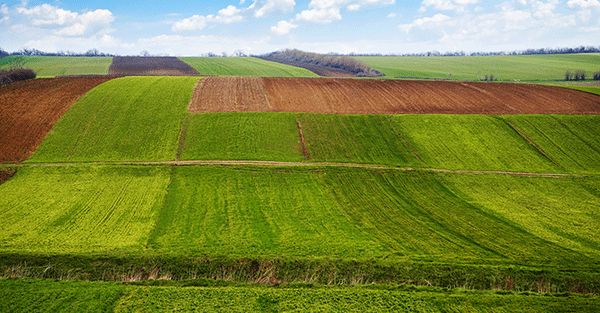 土壤侵蝕是什么？什么導(dǎo)致了土壤侵蝕？(圖1)