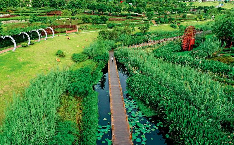 部分黑臭水體出現(xiàn)反彈，治理難在哪兒？