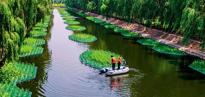 部分黑臭水體出現(xiàn)反彈，治理難在哪兒？(圖2)