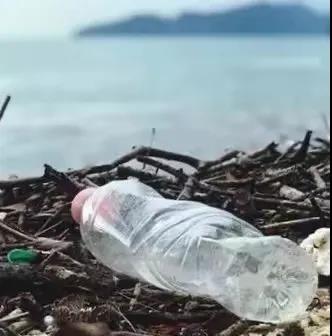 世界地球日|珍愛(ài)地球，人與自然和諧共生(圖8)