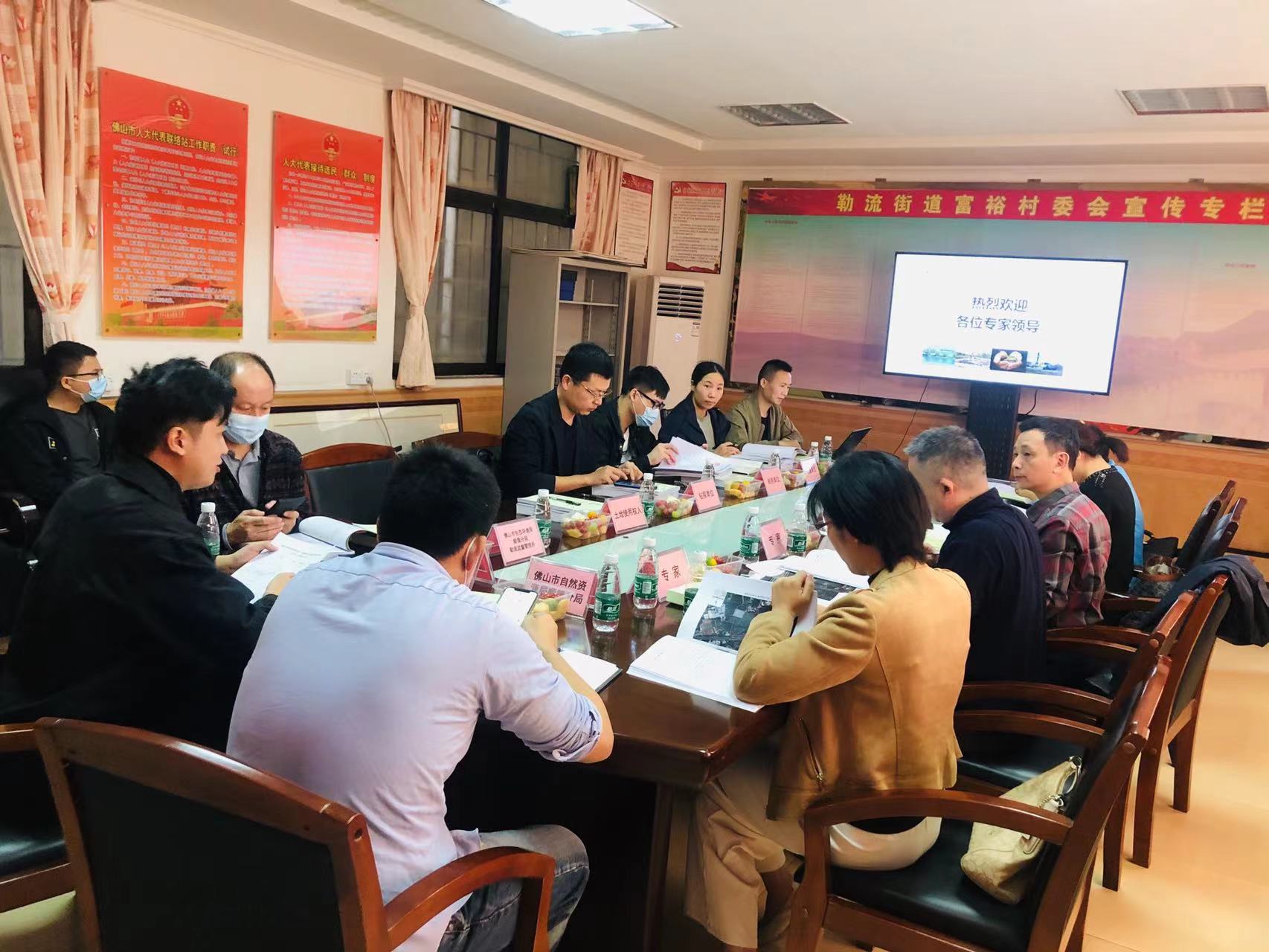 廣碧環(huán)?！独樟鹘值滥蠂髀芬阅?、龍海路以西地塊土壤污染狀況初步調查報告》通過專家評審會